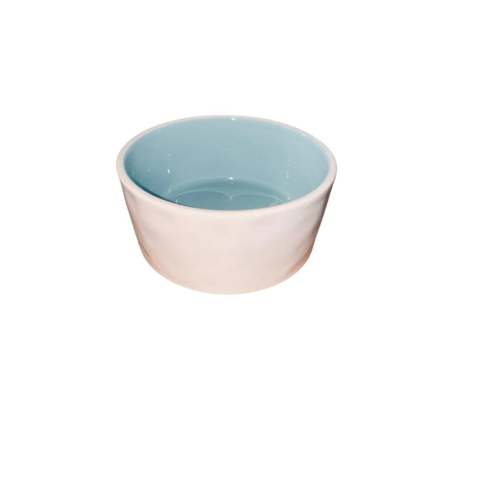 Rae Dunn SAVOR Cream Light Blue One Size pet Bowl